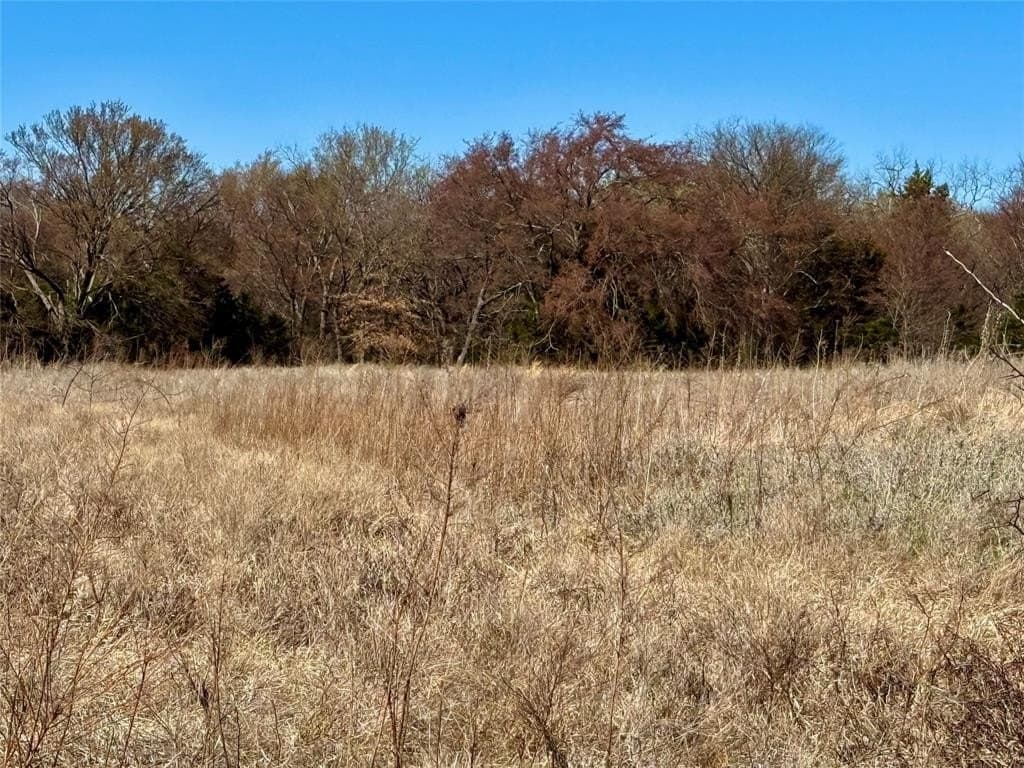 39.4 acres in Grayson County - photo 17