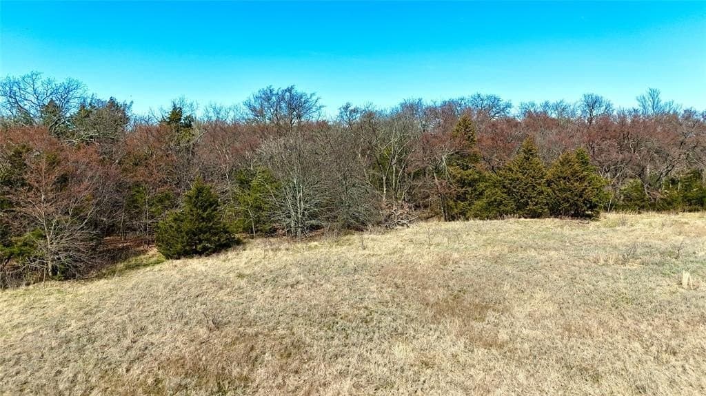 39.4 acres in Grayson County - photo 4