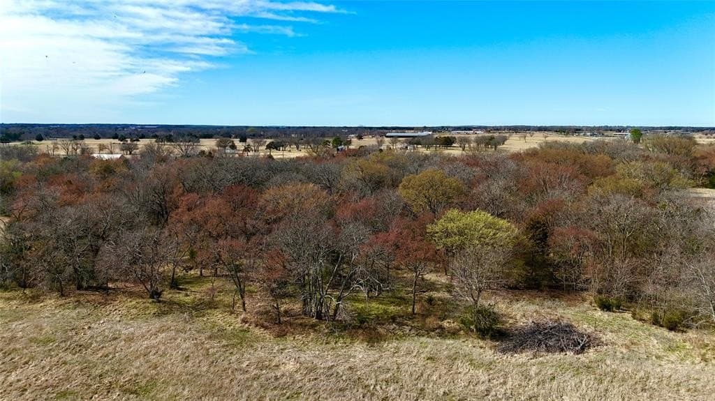 39.4 acres in Grayson County - photo 5