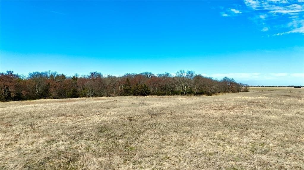 39.4 acres in Grayson County - photo 9