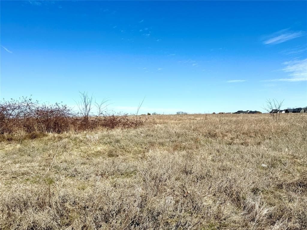 39.4 acres in Grayson County - photo 14