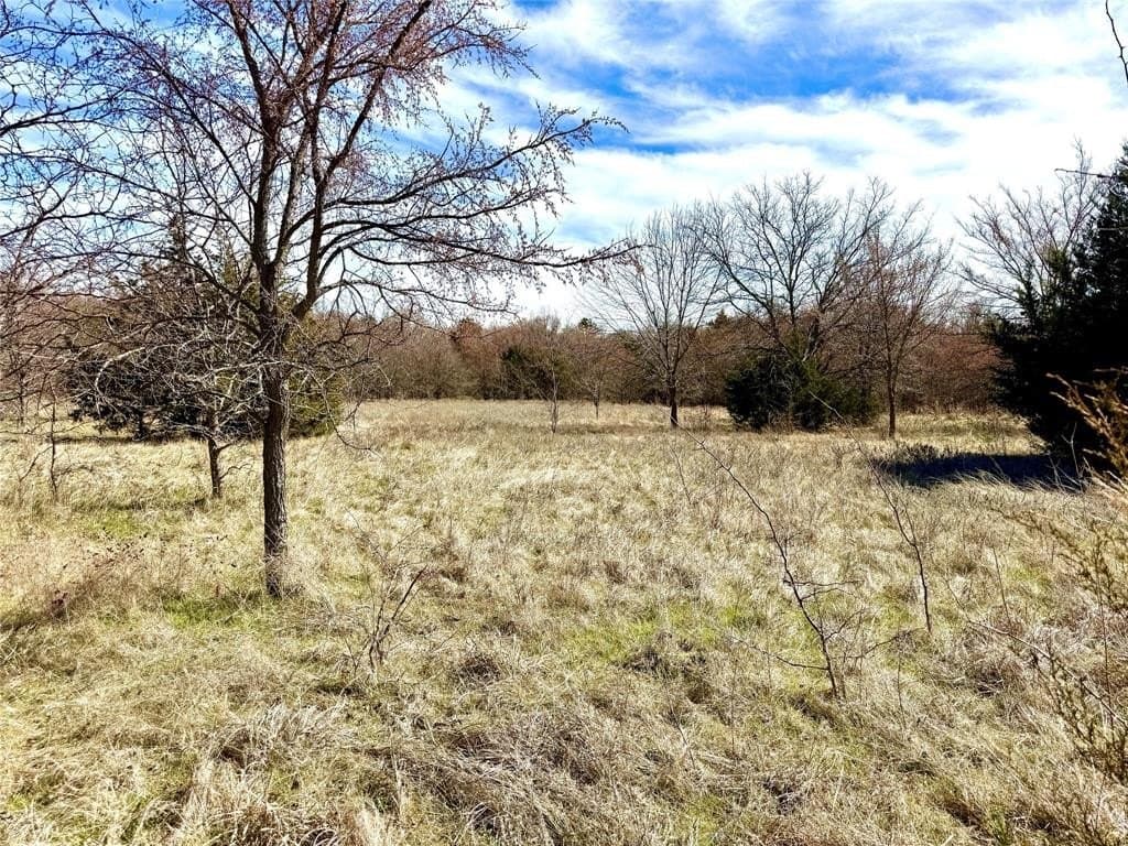 39.4 acres in Grayson County - photo 13