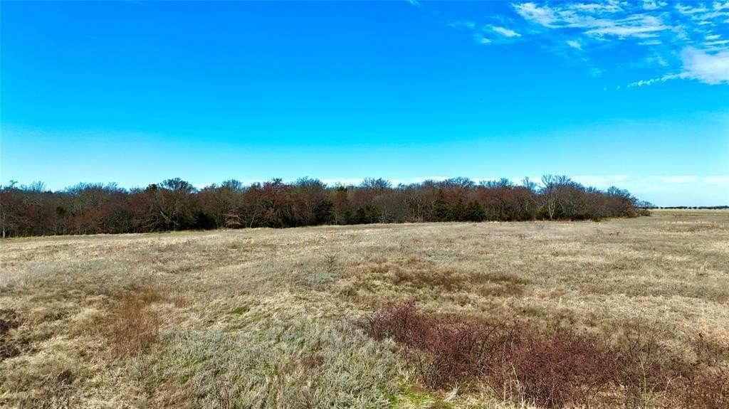 39.4 acres in Grayson County - photo 10