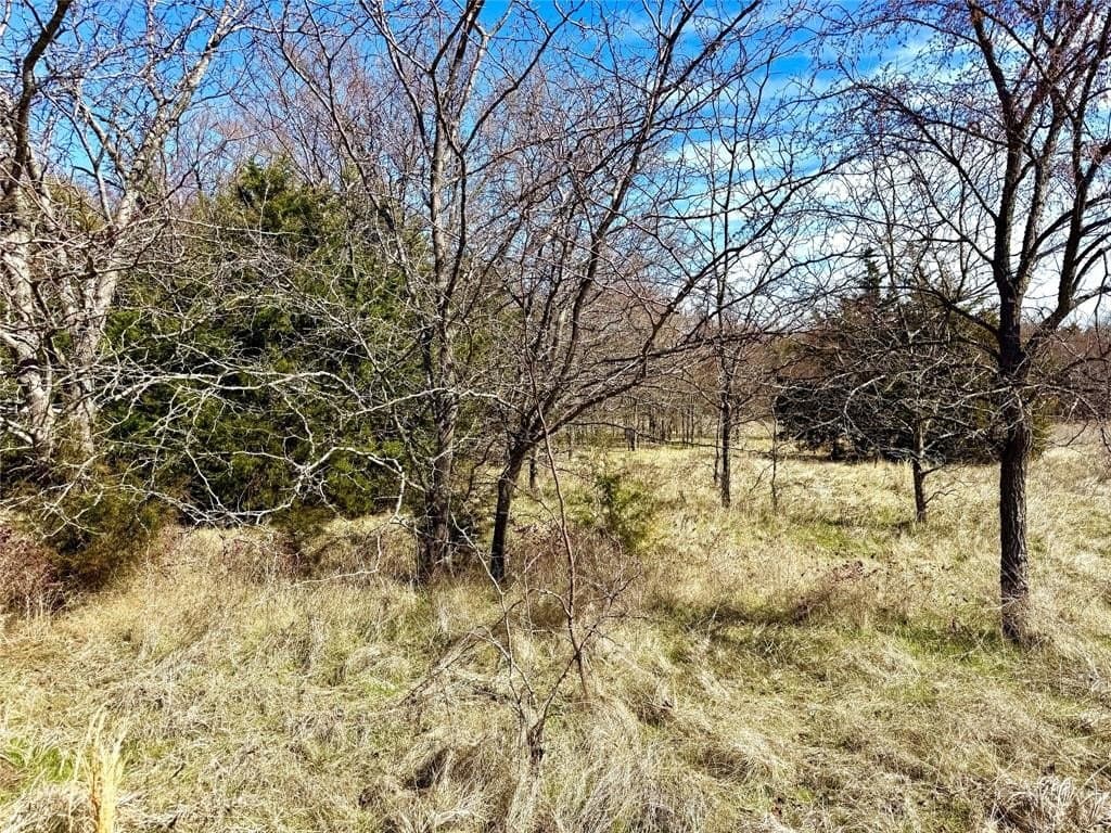 39.4 acres in Grayson County - photo 12