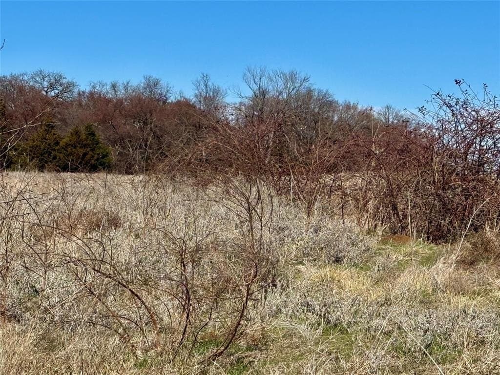 39.4 acres in Grayson County - photo 16
