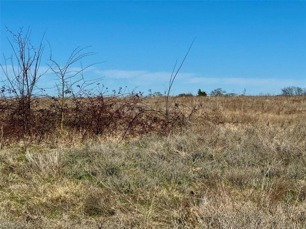 39.4 acres in Grayson County - photo 15