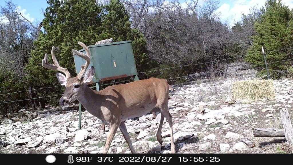 20 acres in Schleicher County - photo 2