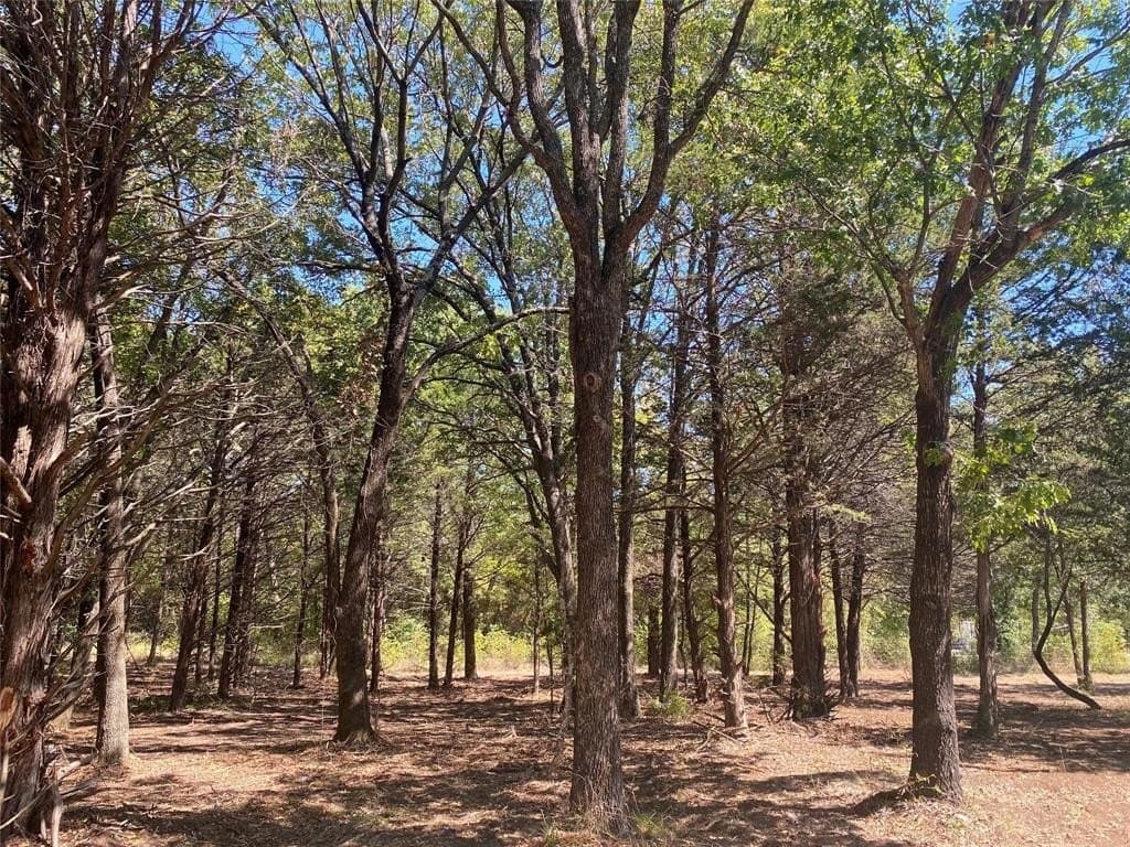 4.05 acres in Grayson County - photo 10