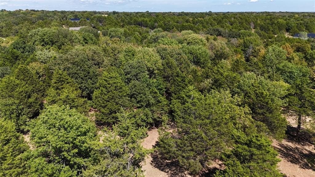 4.05 acres in Grayson County - photo 4