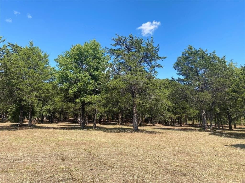 4.05 acres in Grayson County - photo 7