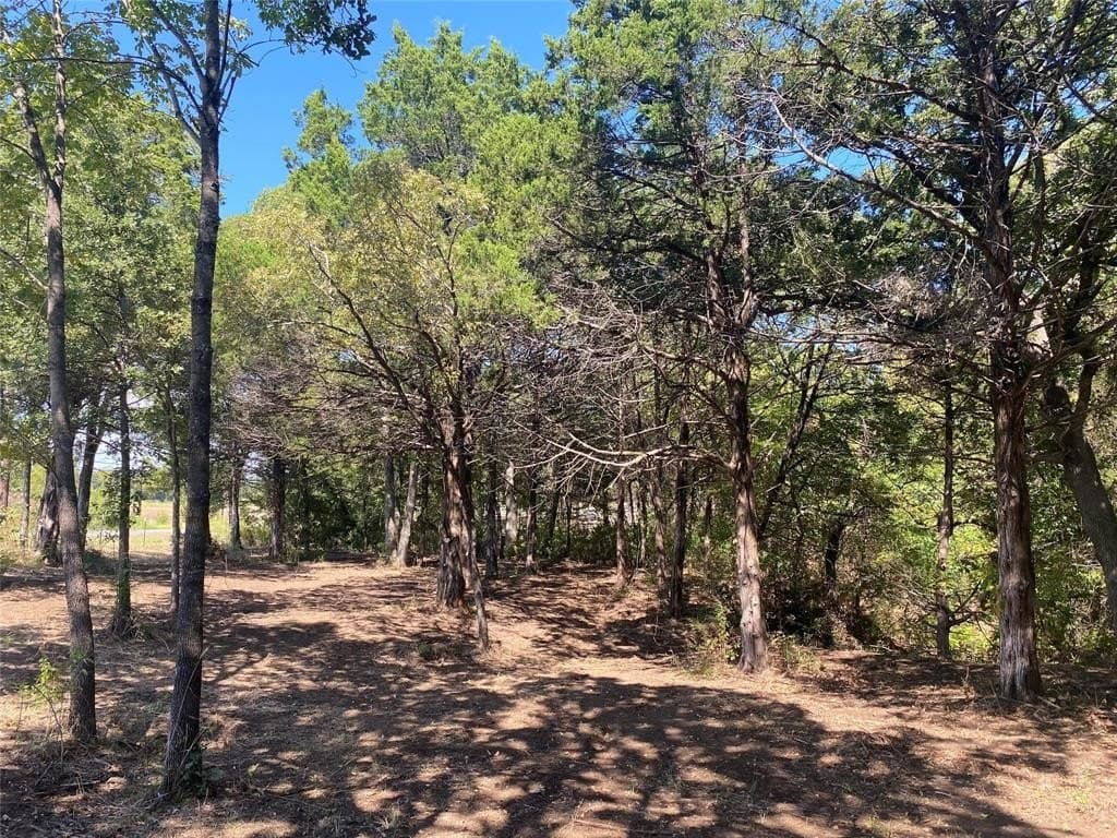 4.05 acres in Grayson County - photo 14