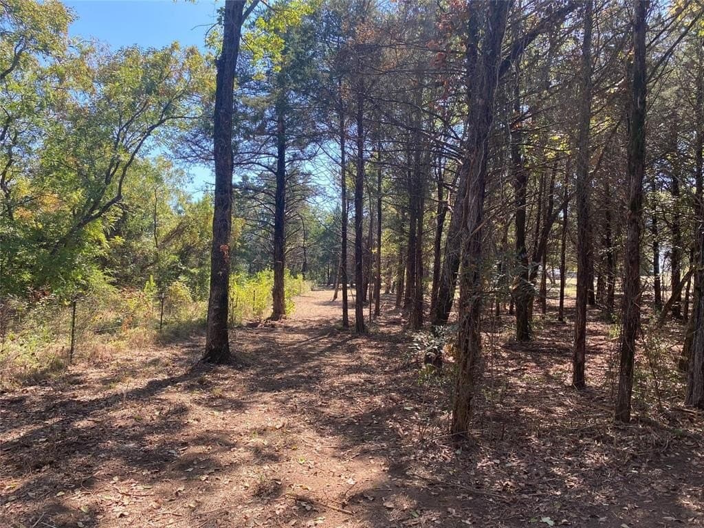 4.05 acres in Grayson County - photo 12