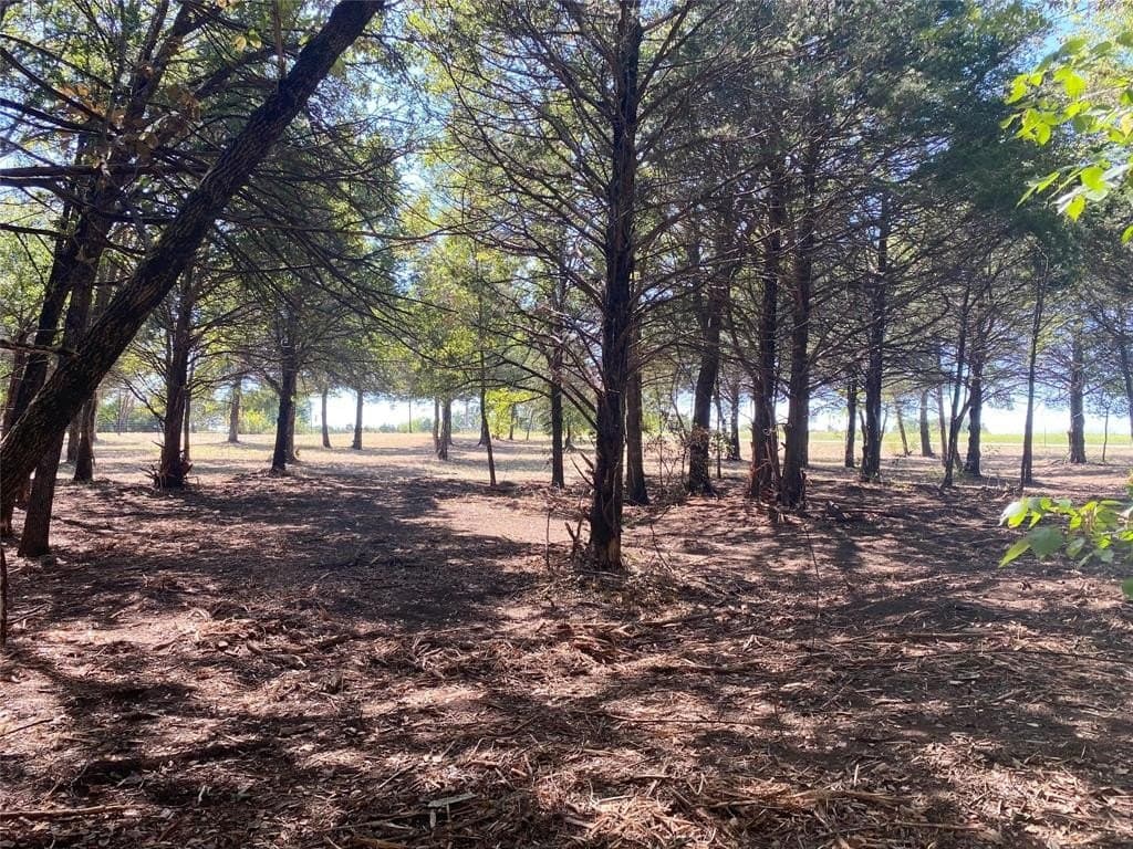4.05 acres in Grayson County - photo 11