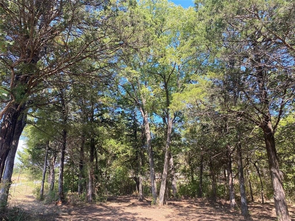 4.05 acres in Grayson County - photo 15