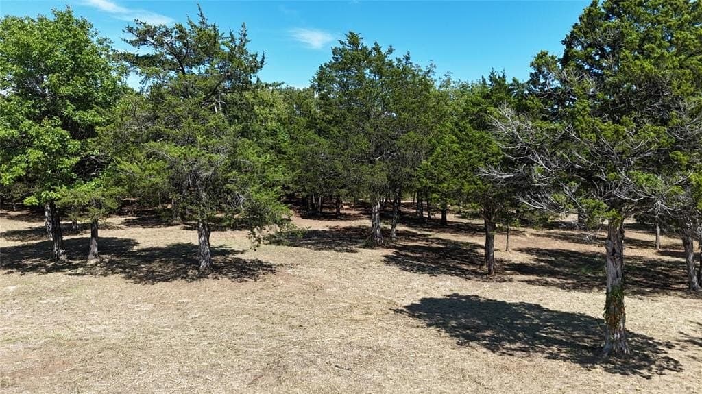 4.05 acres in Grayson County - photo 5