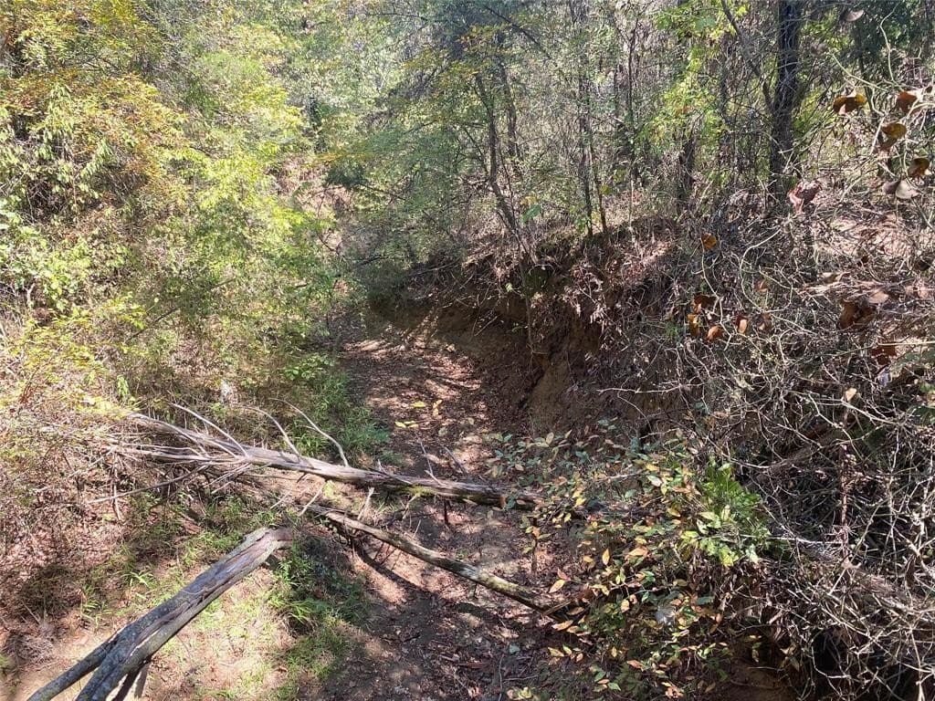 4.05 acres in Grayson County - photo 13