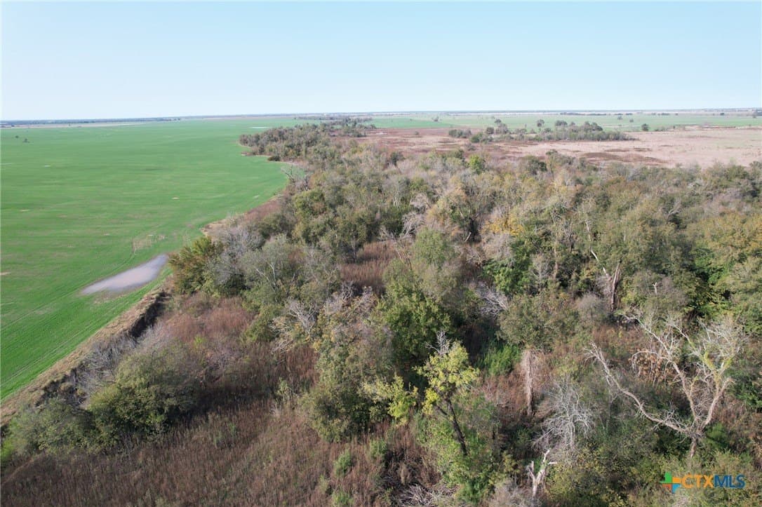 123.5 acres in Falls County - photo 4