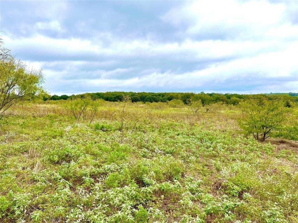 51.82 acres in Cooke County - photo 5