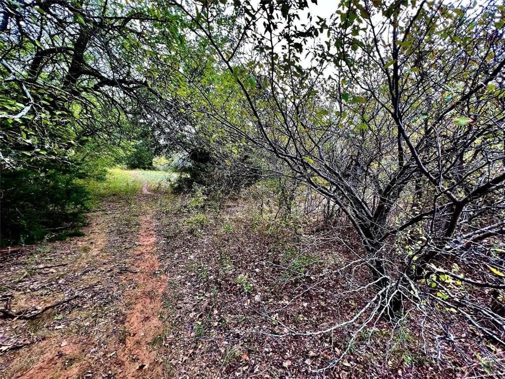 51.82 acres in Cooke County - photo 14