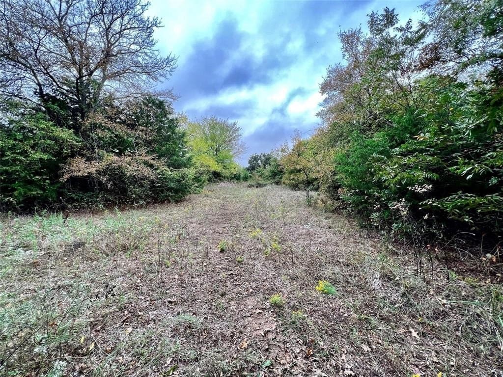 51.82 acres in Cooke County - photo 13