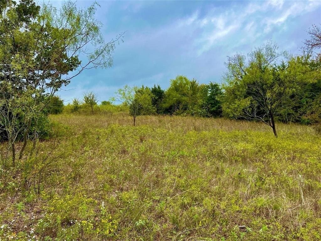 51.82 acres in Cooke County - photo 7