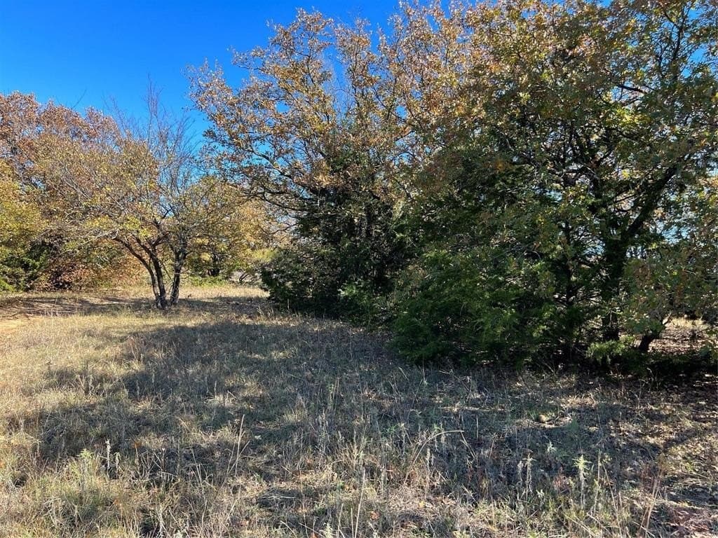 51.82 acres in Cooke County - photo 22