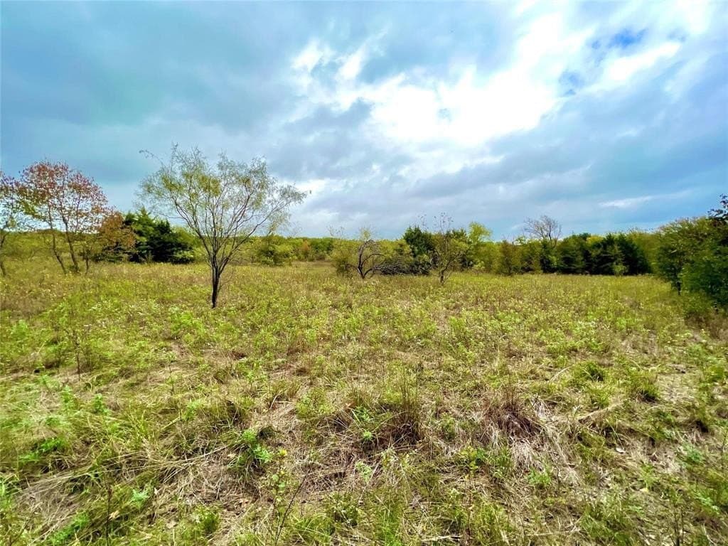 51.82 acres in Cooke County - photo 10