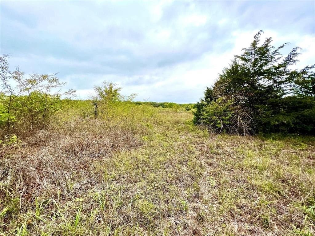 51.82 acres in Cooke County - photo 3