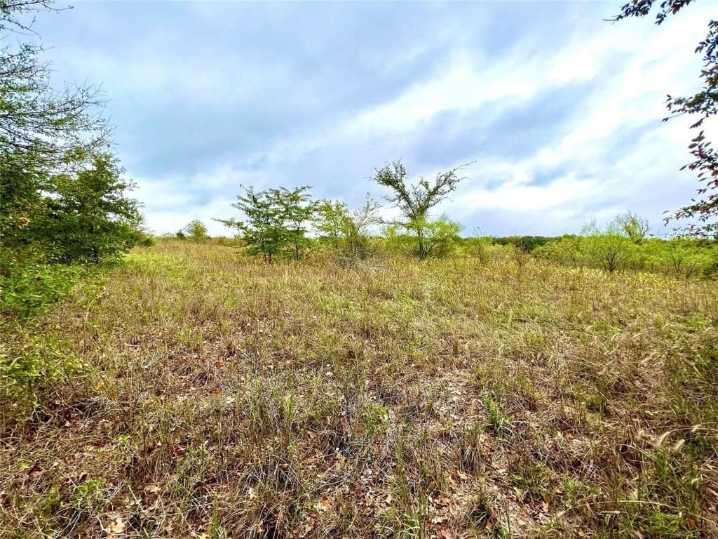 51.82 acres in Cooke County - photo 11