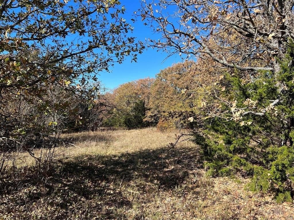 51.82 acres in Cooke County - photo 23