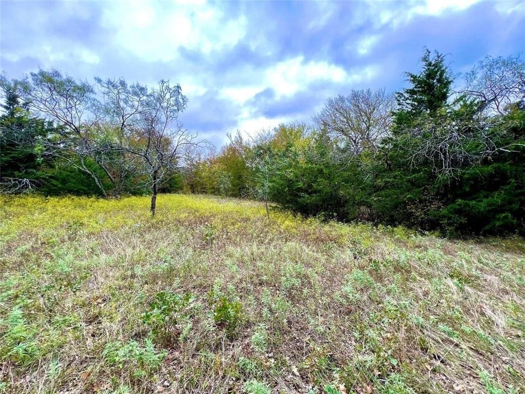 51.82 acres in Cooke County - photo 16