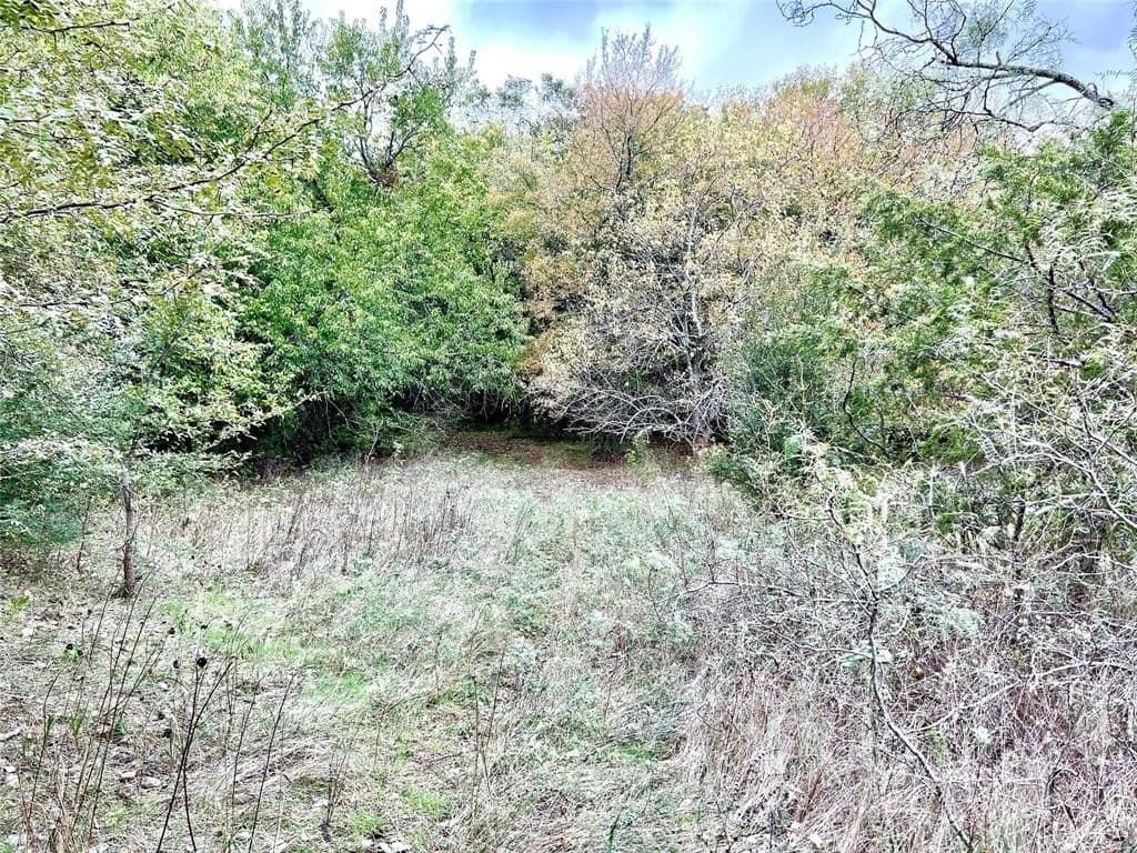 51.82 acres in Cooke County - photo 18