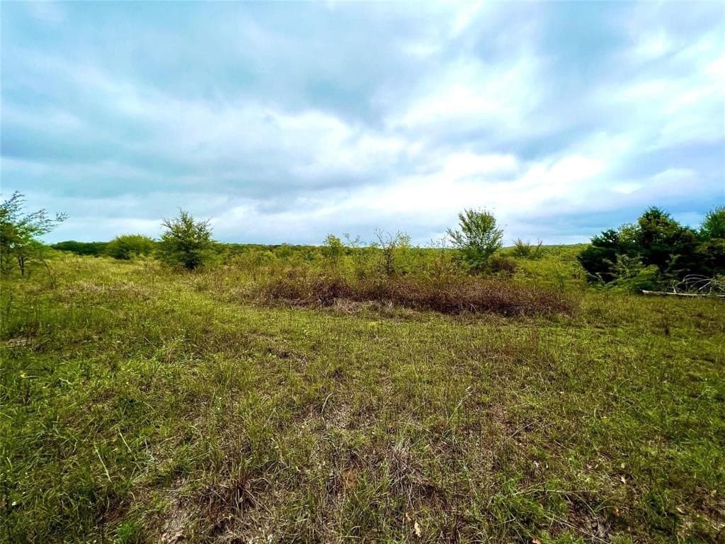 51.82 acres in Cooke County - photo 4