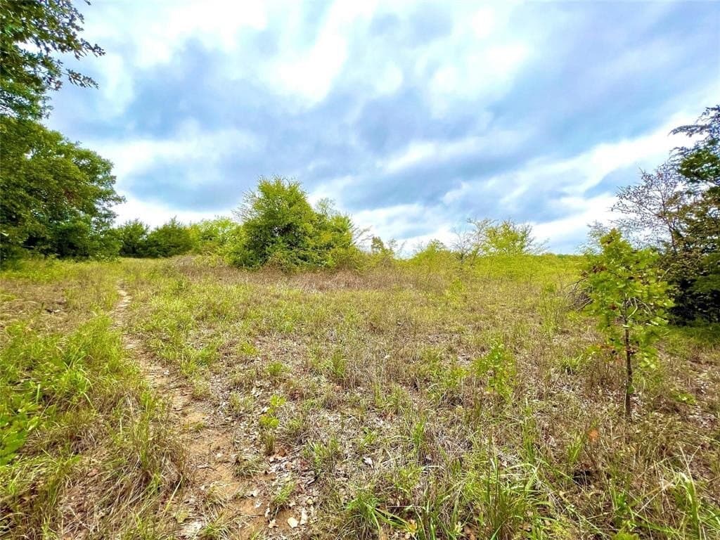 51.82 acres in Cooke County - photo 2