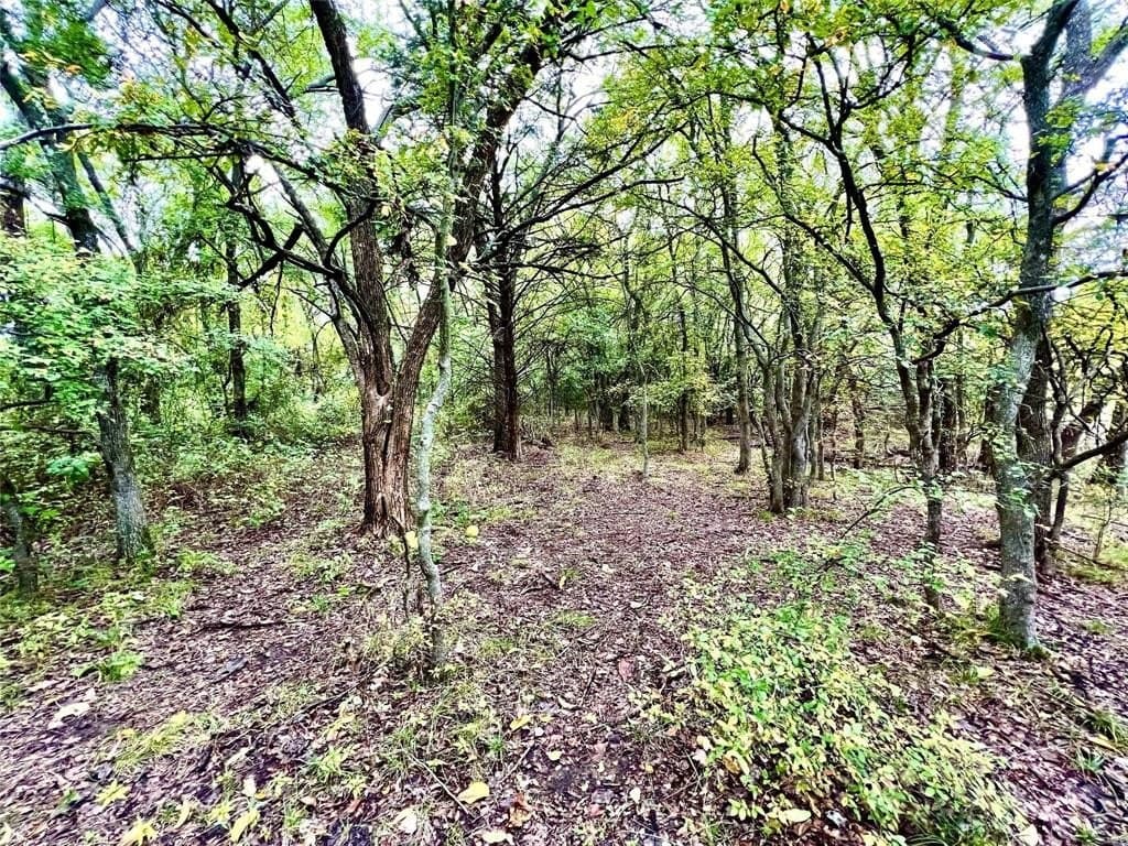 51.82 acres in Cooke County - photo 12
