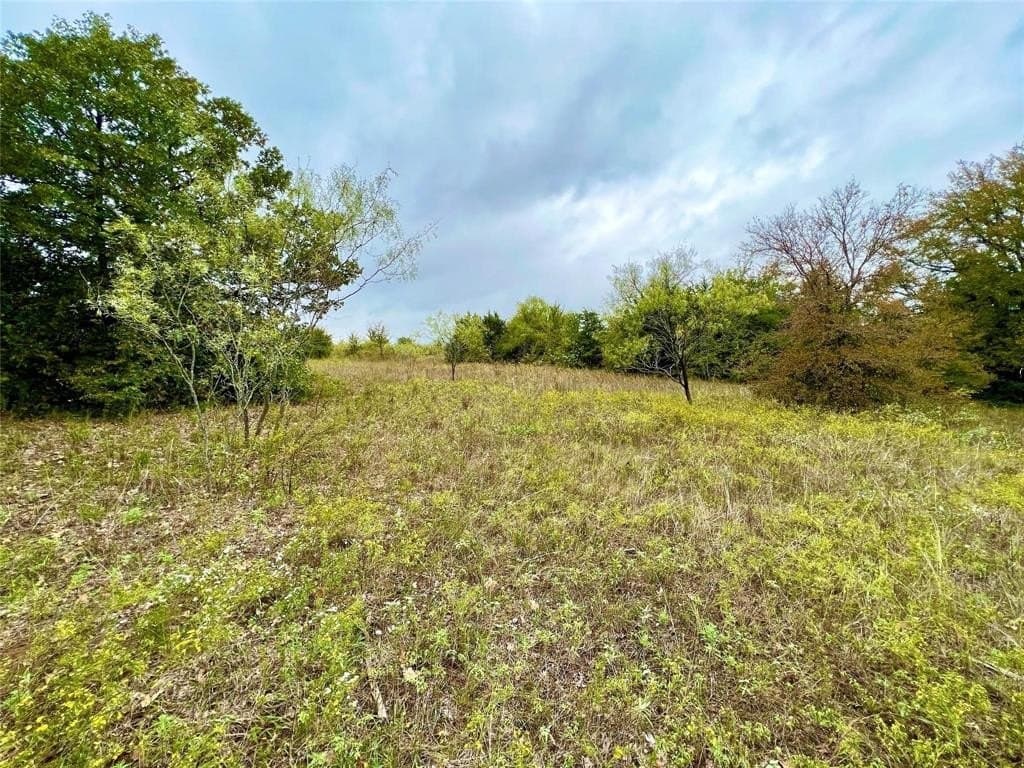 51.82 acres in Cooke County - photo 8
