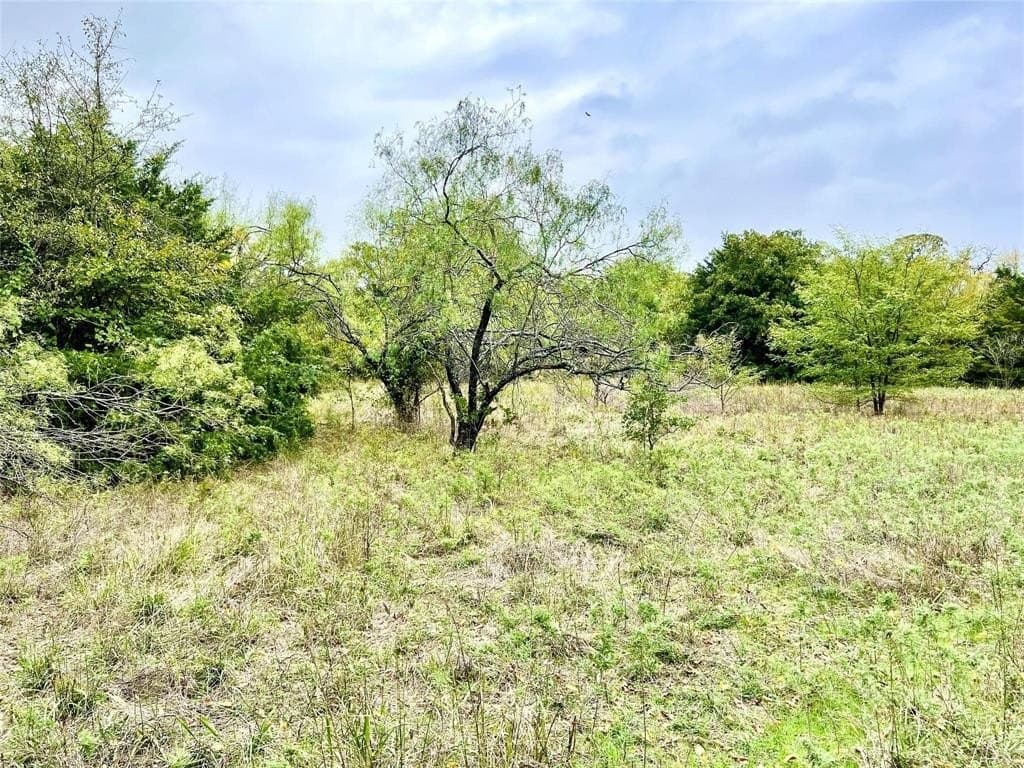 51.82 acres in Cooke County - photo 17