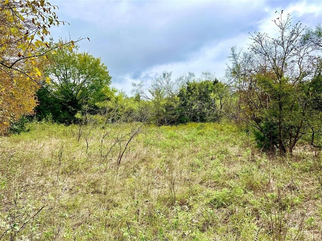 51.82 acres in Cooke County - photo 19