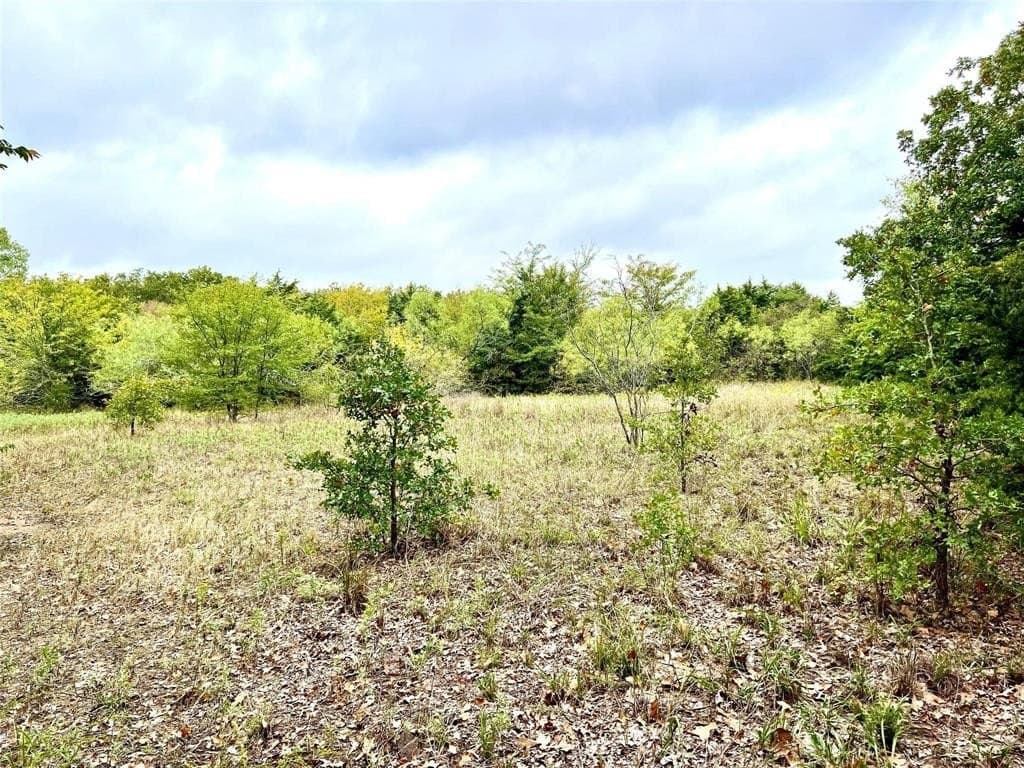 51.82 acres in Cooke County - photo 26