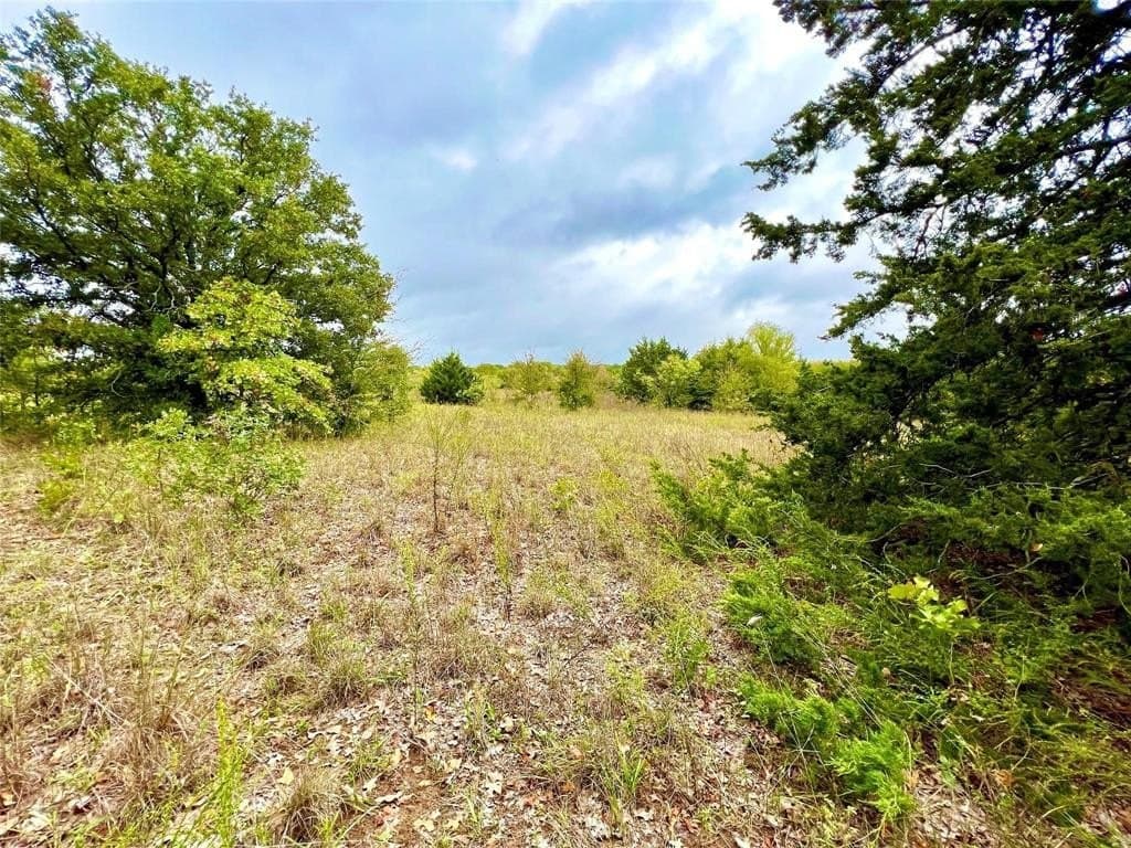 51.82 acres in Cooke County - photo 6