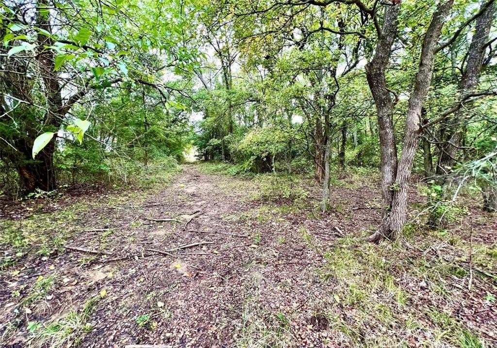 51.82 acres in Cooke County - photo 21