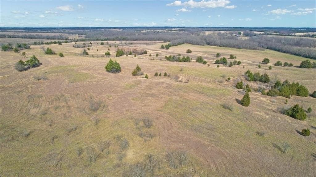 57.5 acres in Lamar County - photo 8