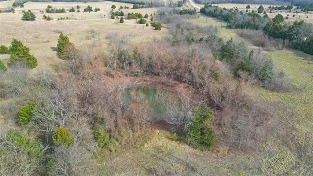 57.5 acres in Lamar County - photo 6