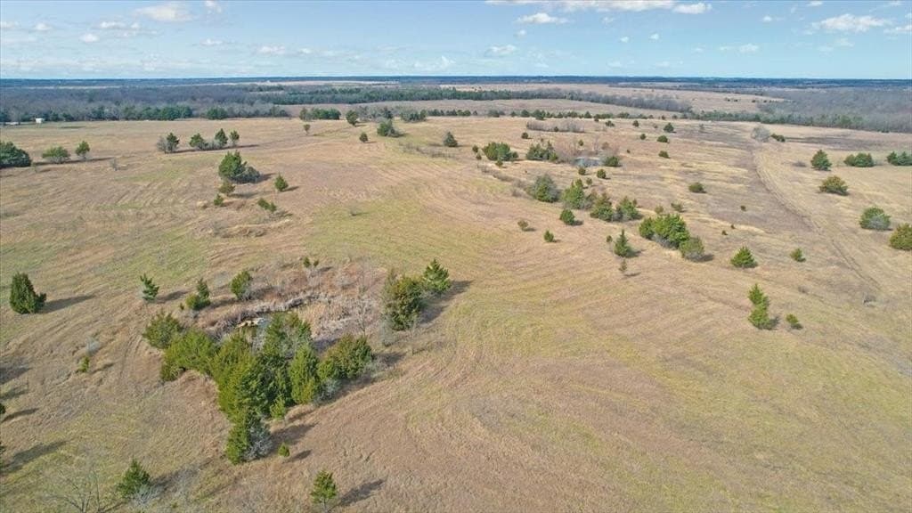 57.5 acres in Lamar County - photo 9