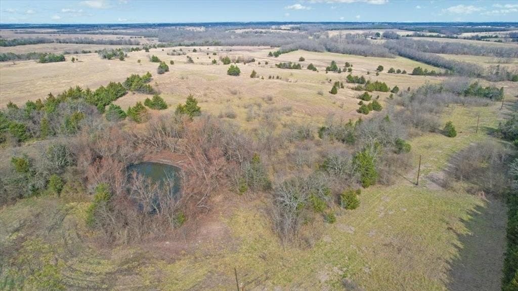 57.5 acres in Lamar County - photo 7