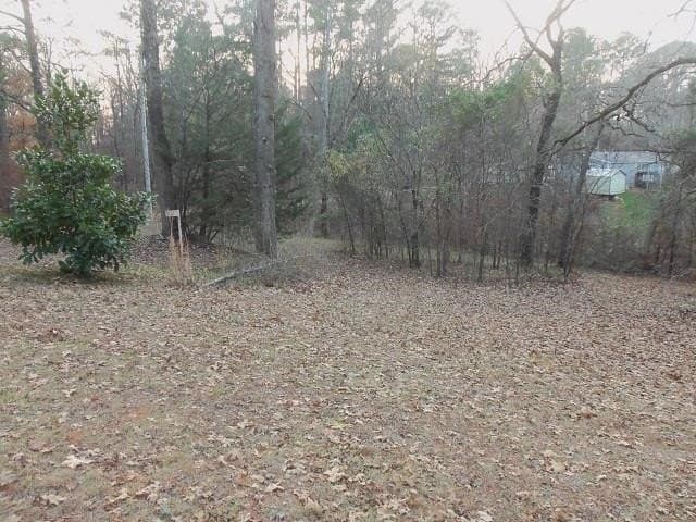 0.59 acres in Rusk County - photo 6