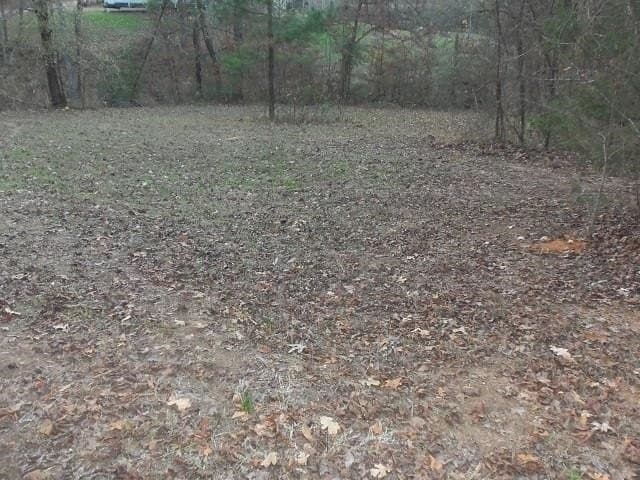 0.59 acres in Rusk County - photo 7