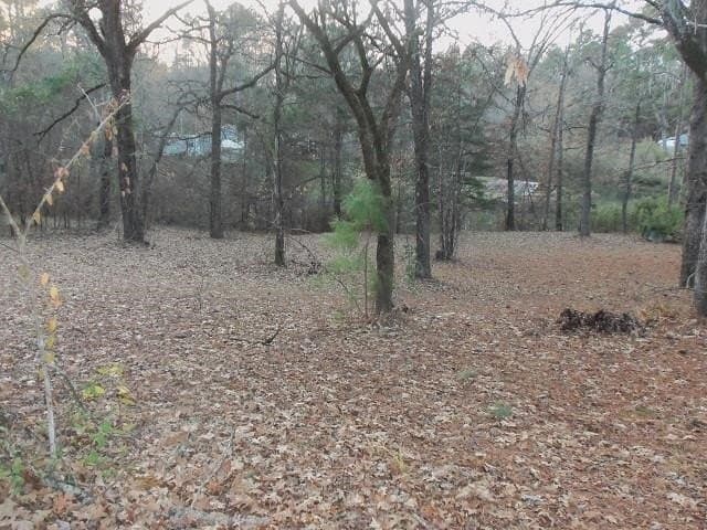 0.59 acres in Rusk County - photo 4
