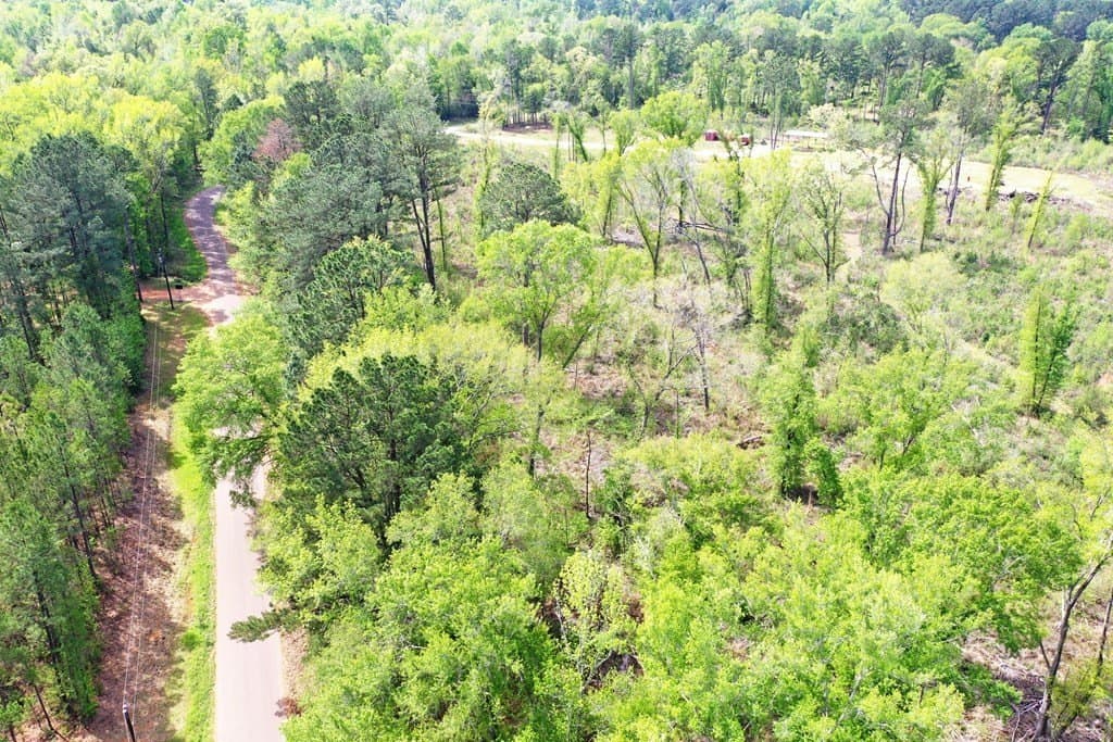 22.5 acres in ANDERSON County - photo 5