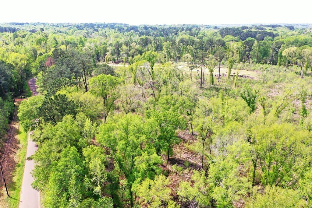 22.5 acres in ANDERSON County - photo 4